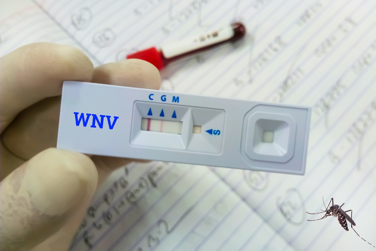 Komarac kao podsetnik na prevenciju groznice Zapadnog Nila i zaštitu zaposlenih